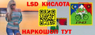 бошки Шелехов