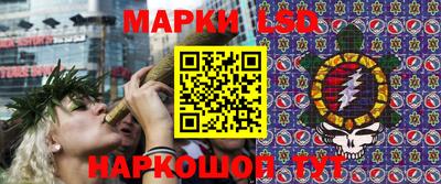 бошки Шелехов