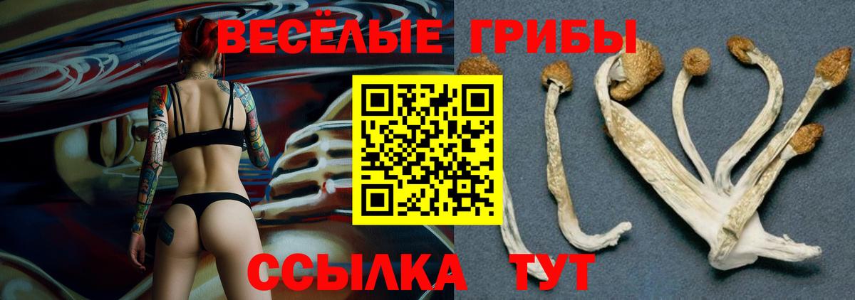 Псилоцибиновые грибы мухоморы  Вход с VPN  Щёлково 