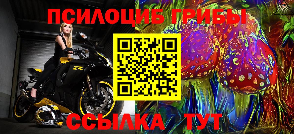 Псилоцибиновые грибы мухоморы Щёлково